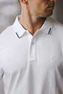 The Refined Tipped Collar Polo
